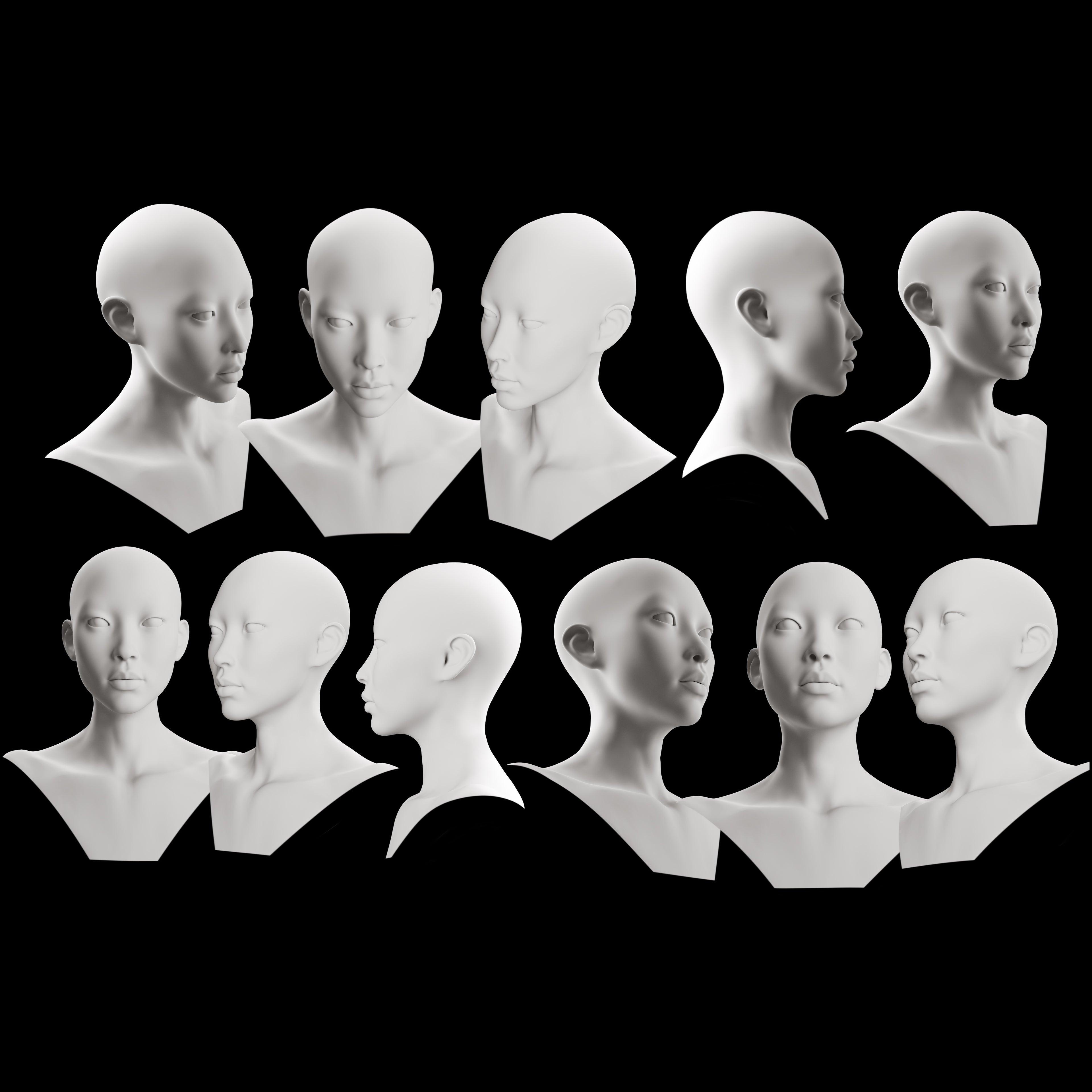 Ultimate 3D Head Reference Bundle | Realistic Portrait Base for Procreate & Photoshop