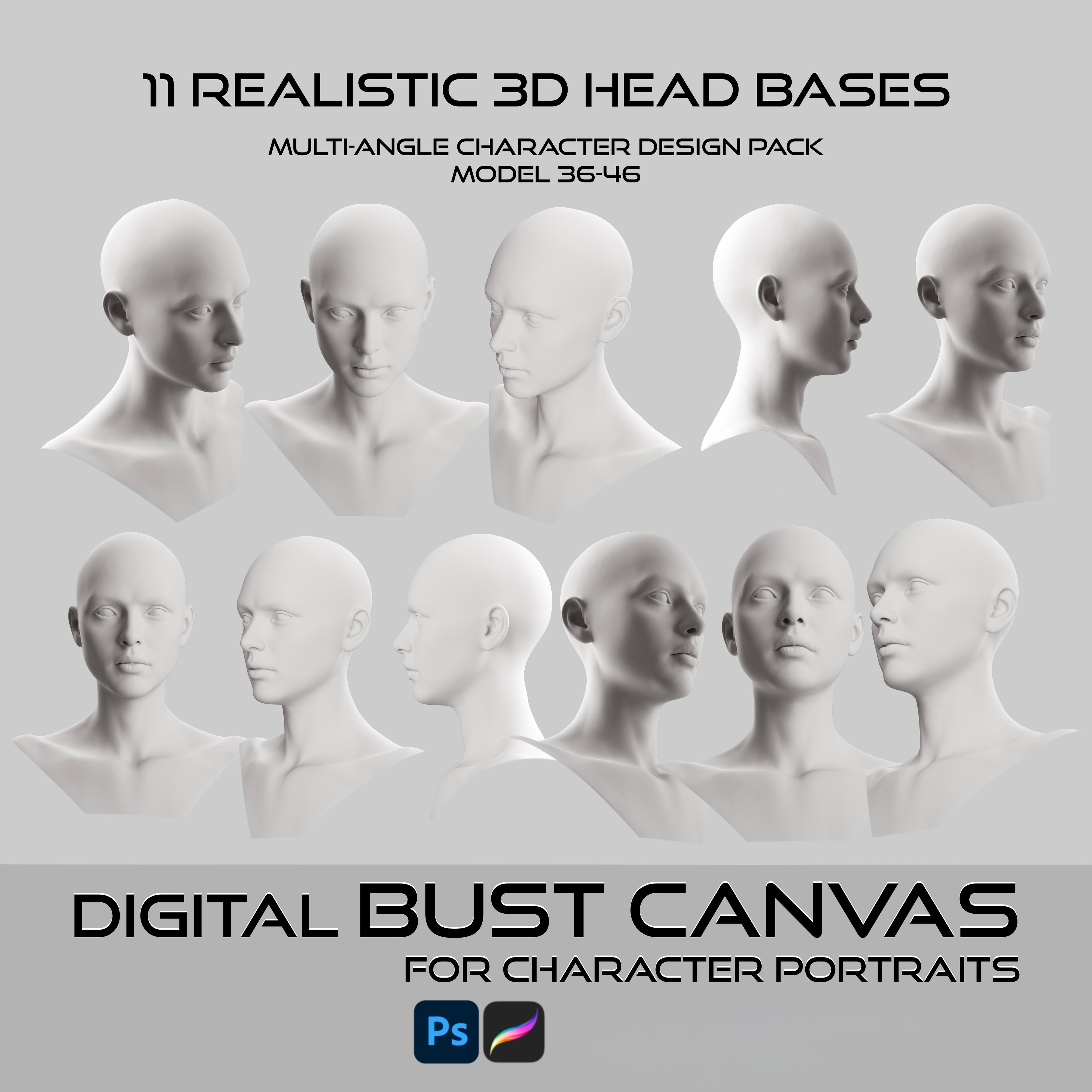 Ultimate 3D Head Reference Bundle | Realistic Portrait Base for Procreate & Photoshop