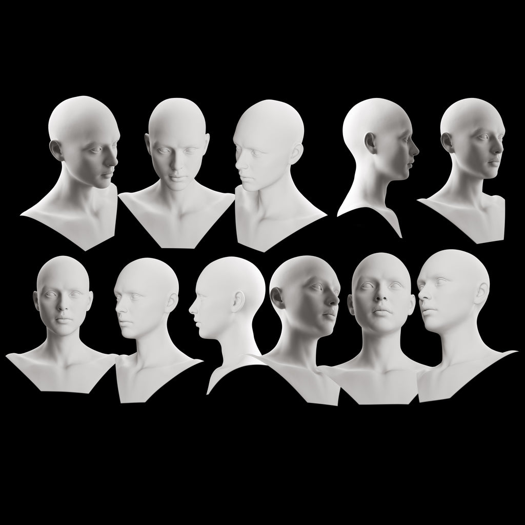 Ultimate 3D Head Reference Bundle | Realistic Portrait Base for Procreate & Photoshop