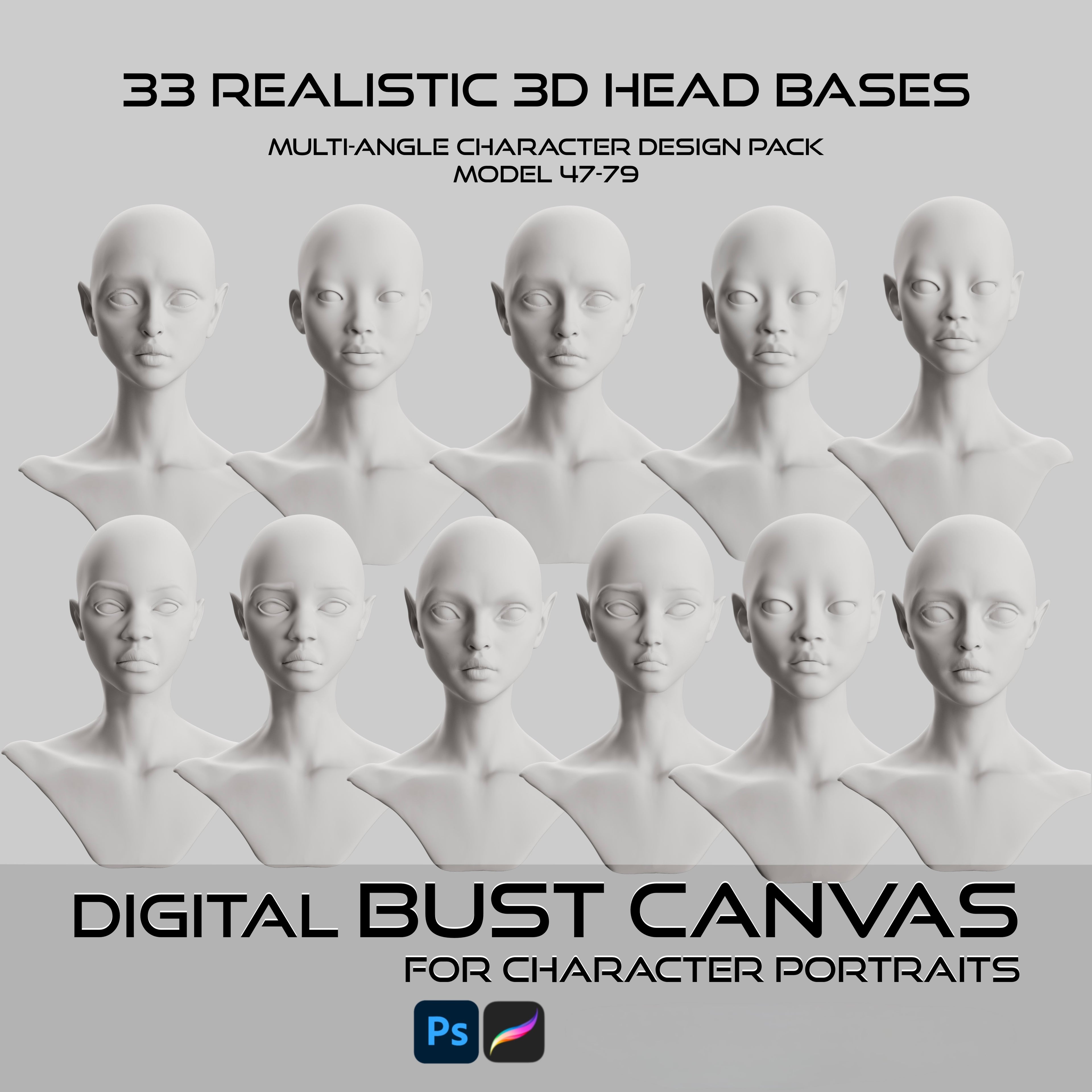 Ultimate 3D Head Reference Bundle | Realistic Portrait Base for Procreate & Photoshop