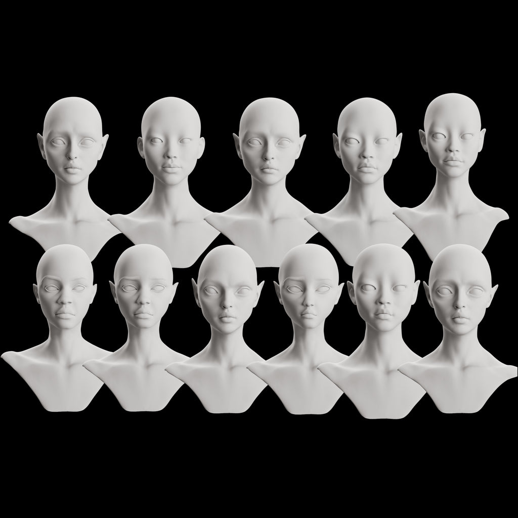 Ultimate 3D Head Reference Bundle | Realistic Portrait Base for Procreate & Photoshop