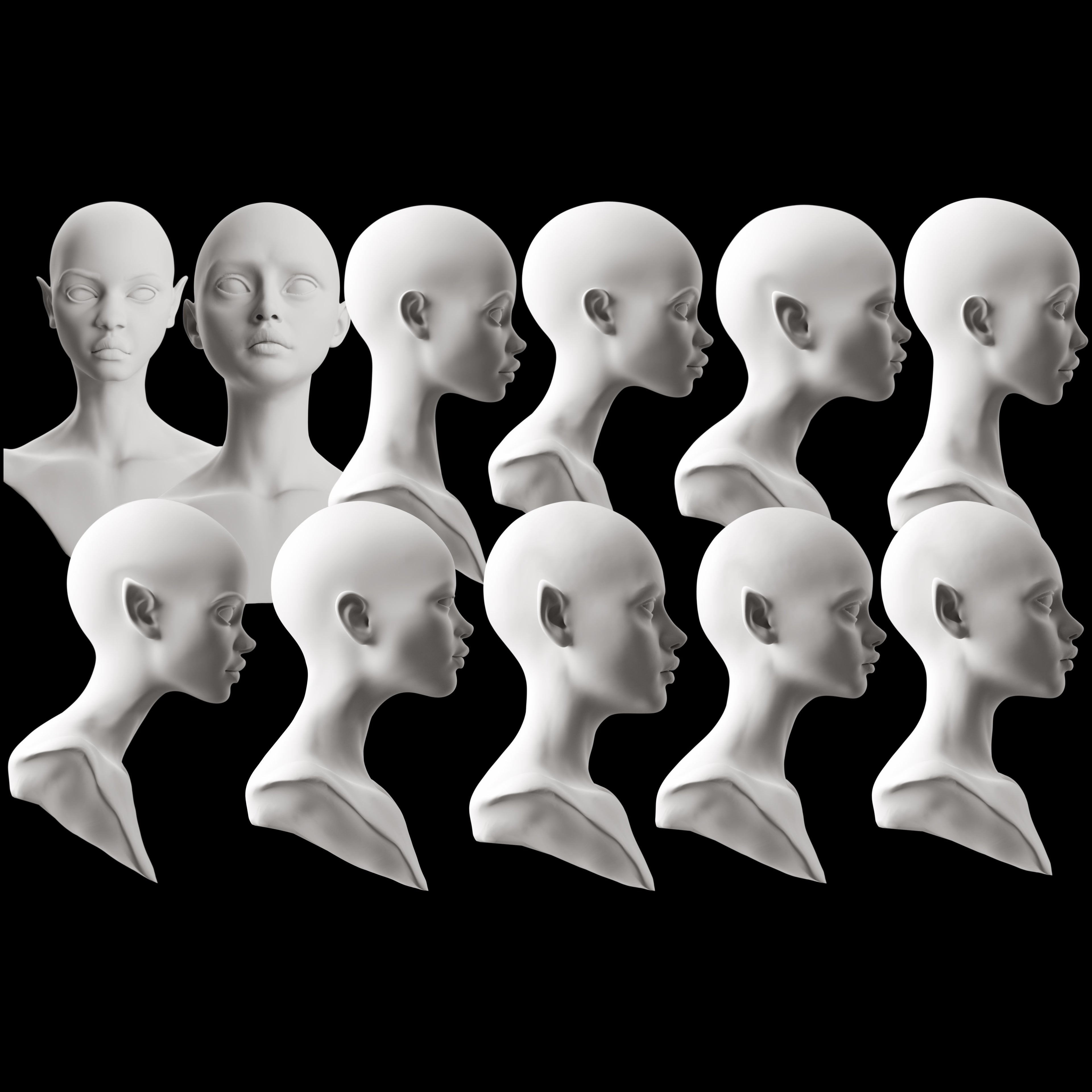 Ultimate 3D Head Reference Bundle | Realistic Portrait Base for Procreate & Photoshop