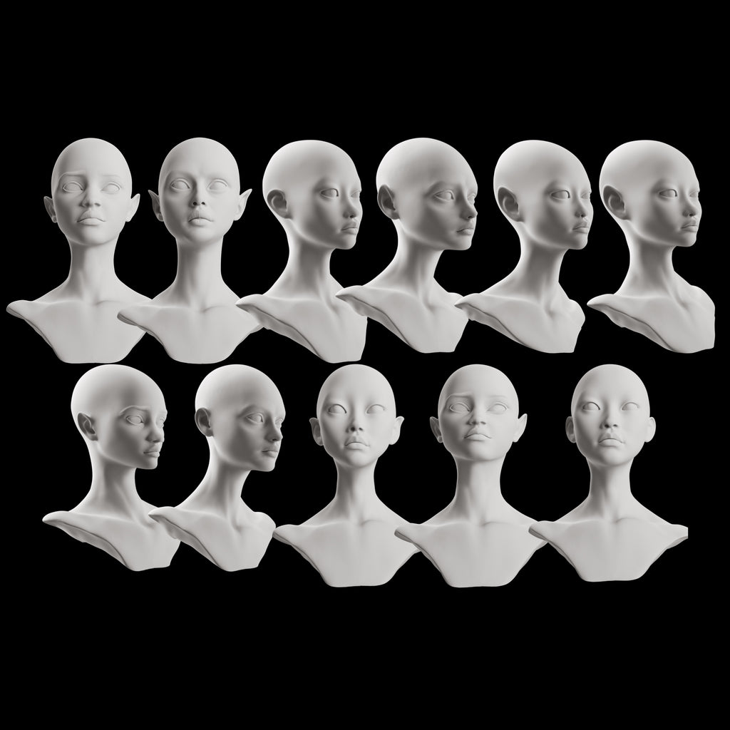 Ultimate 3D Head Reference Bundle | Realistic Portrait Base for Procreate & Photoshop