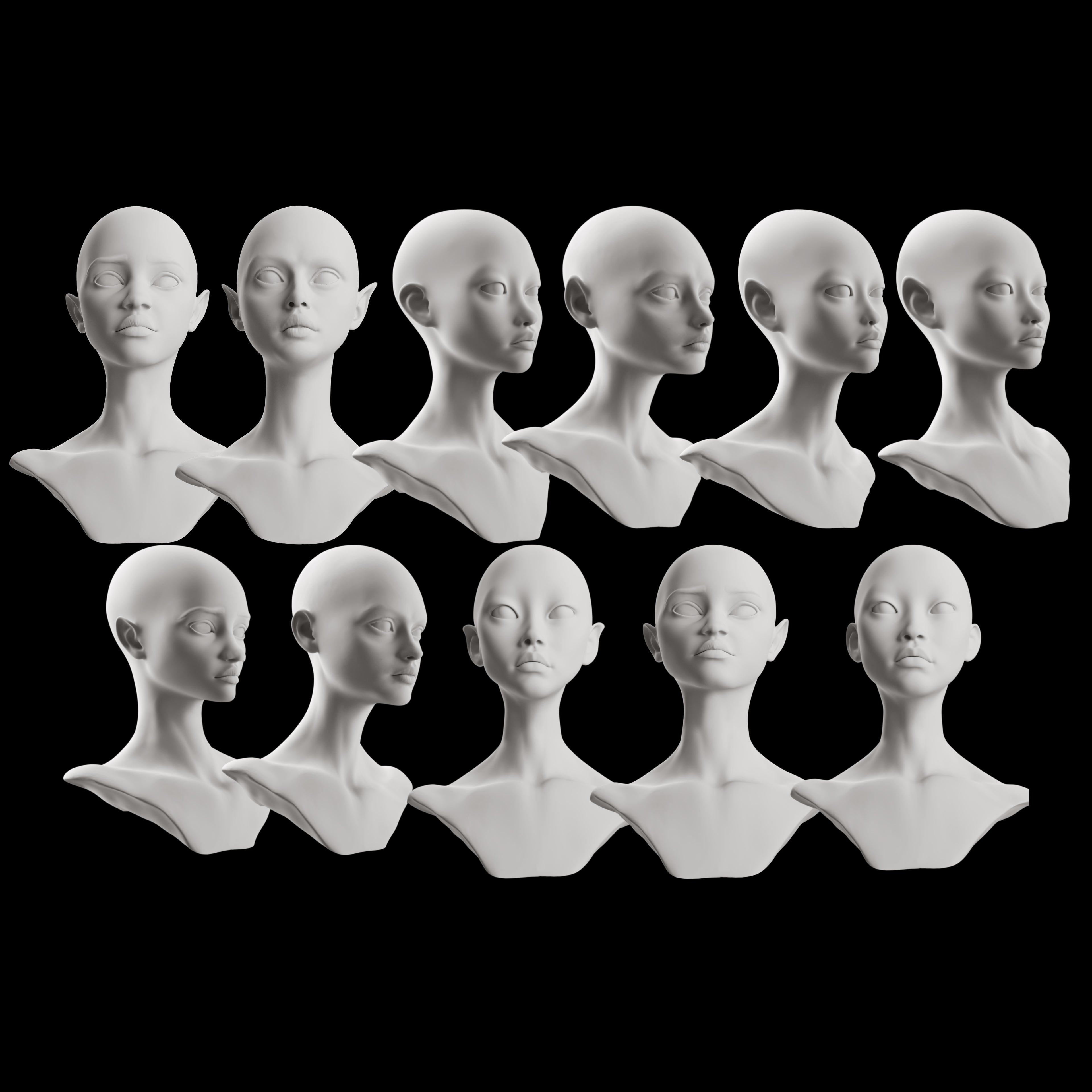 Ultimate 3D Head Reference Bundle | Realistic Portrait Base for Procreate & Photoshop