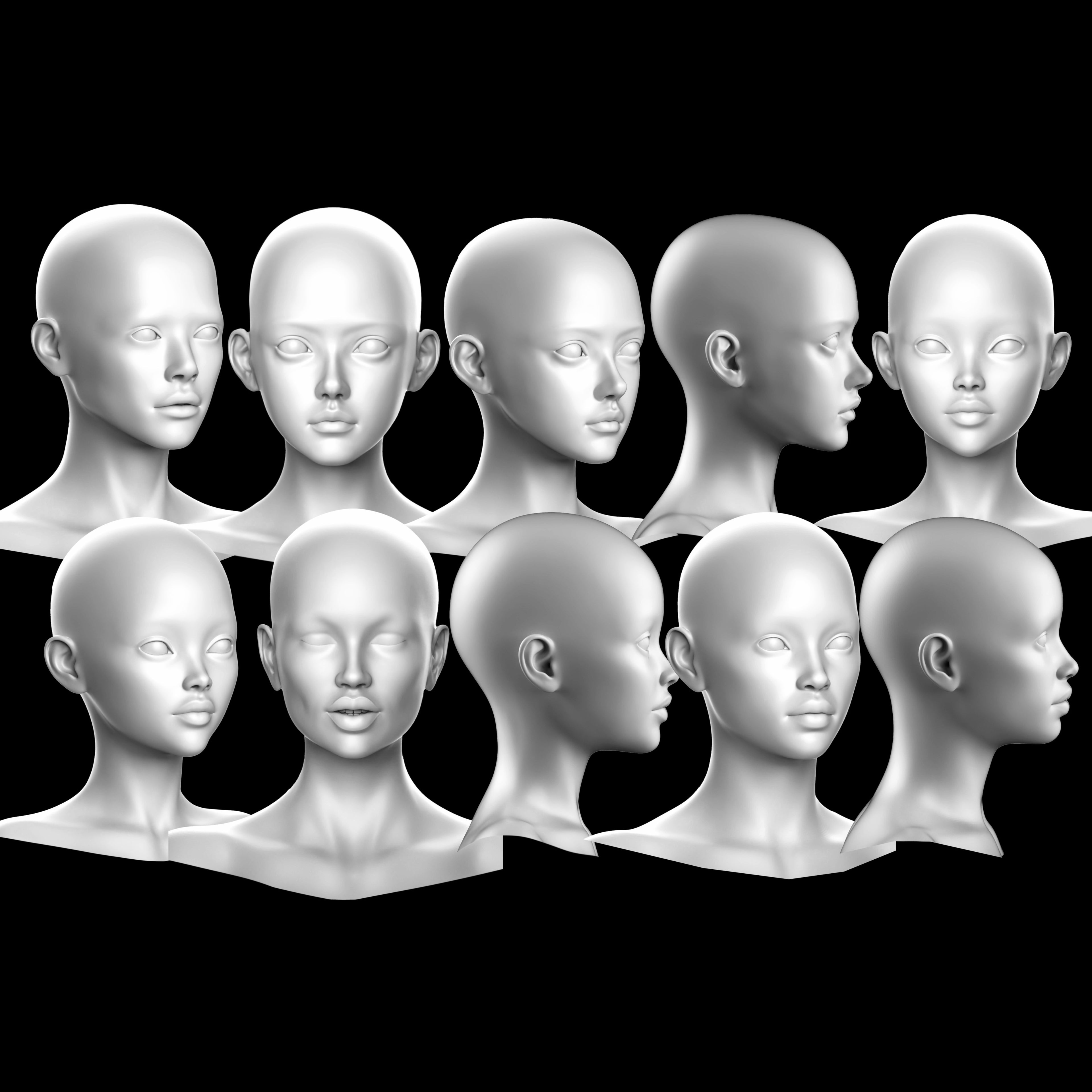 Ultimate 3D Head Reference Bundle | Realistic Portrait Base for Procreate & Photoshop