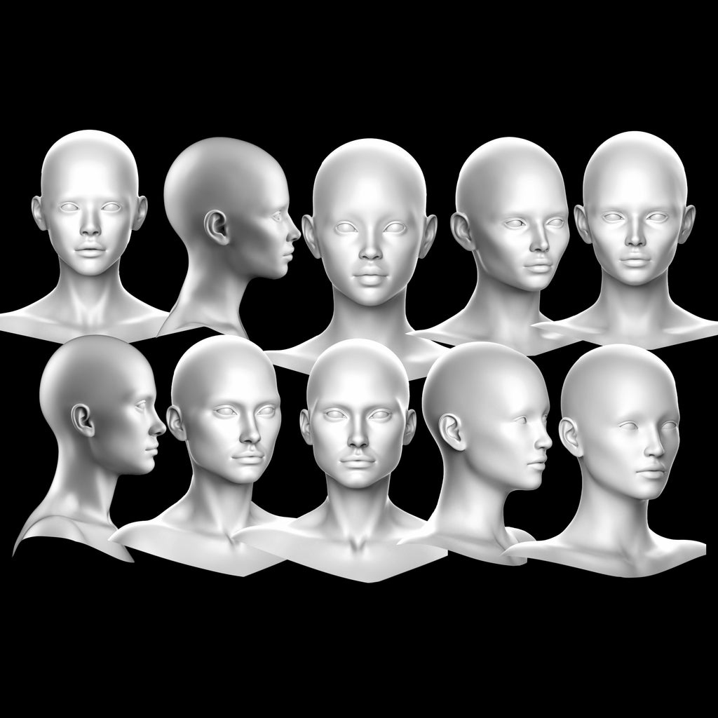 Ultimate 3D Head Reference Bundle | Realistic Portrait Base for Procreate & Photoshop