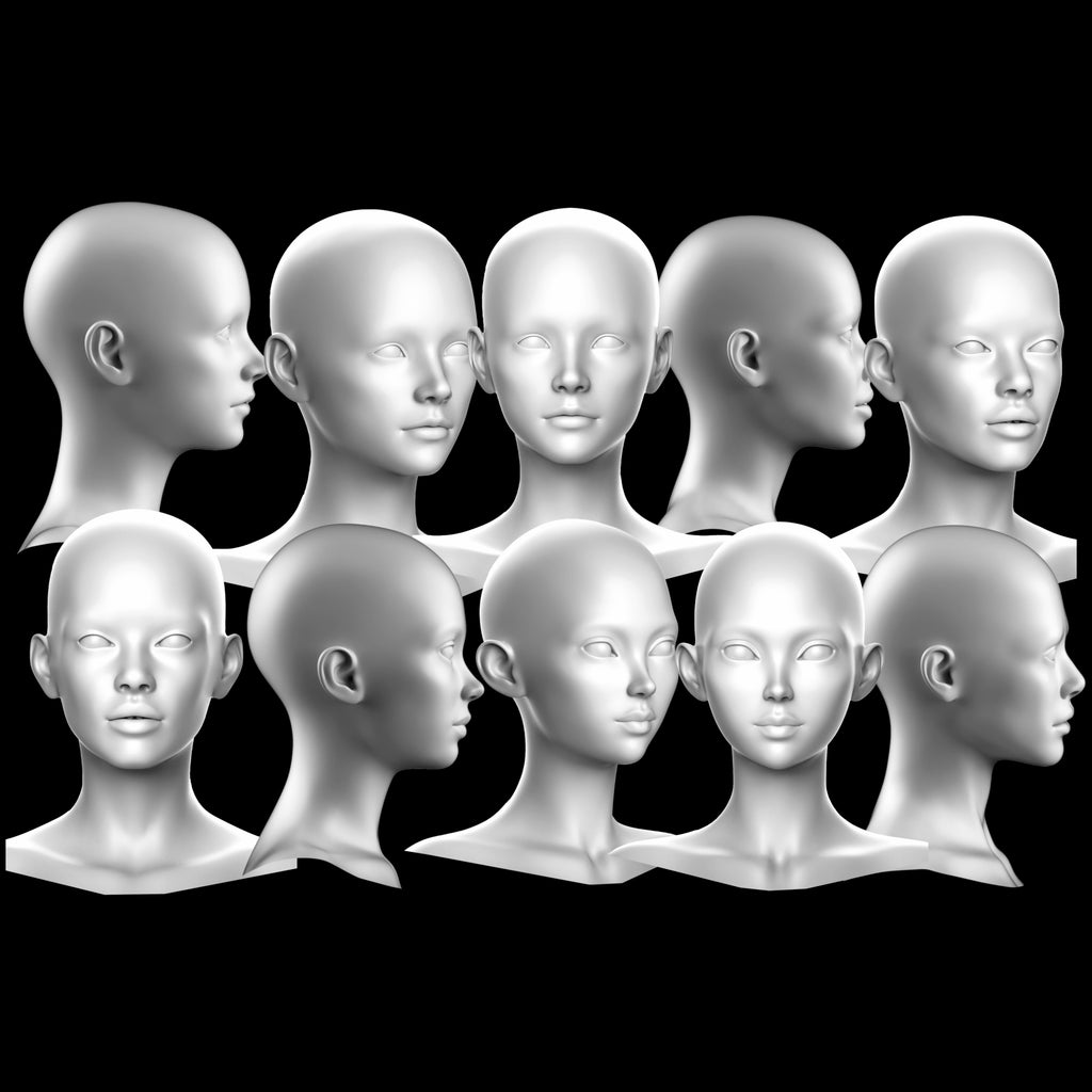 Ultimate 3D Head Reference Bundle | Realistic Portrait Base for Procreate & Photoshop